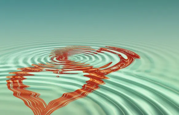 Kasyno Barbados Bingo Wsparcie